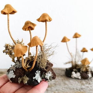 Mushroom decor Amanita, toadstools. Miniature composition of Tan mushrooms.