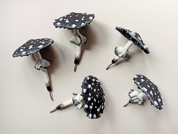 マジックマッシュルームキット、ブラックマッシュルーム