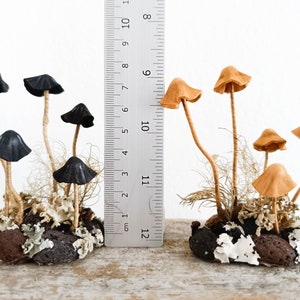 Mushroom decor Amanita, toadstools. Miniature composition of magic mushroom.