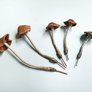 Set of 5 pcs. realistic brown mushrooms. Artificial mushrooms.
