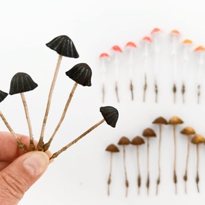 Set of 5 pcs. fake mushrooms black color.