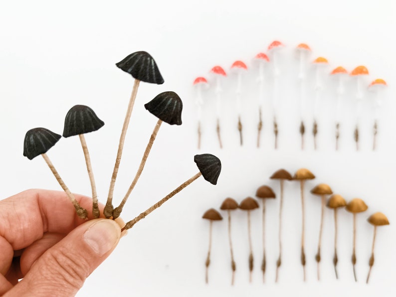 Set of 5 pcs. fake mushrooms black color.