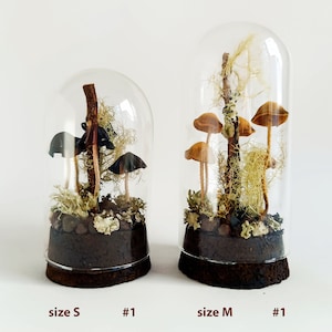 Mushroom terrarium, Handmade mushroom decor in glass cloche. image 3