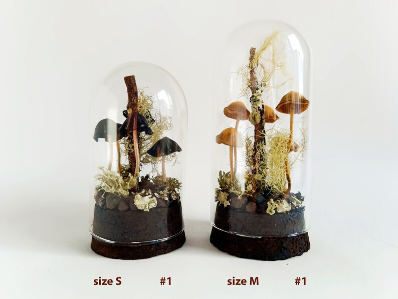 Mushroom terrarium, Handmade mushroom decor in glass cloche. image 3