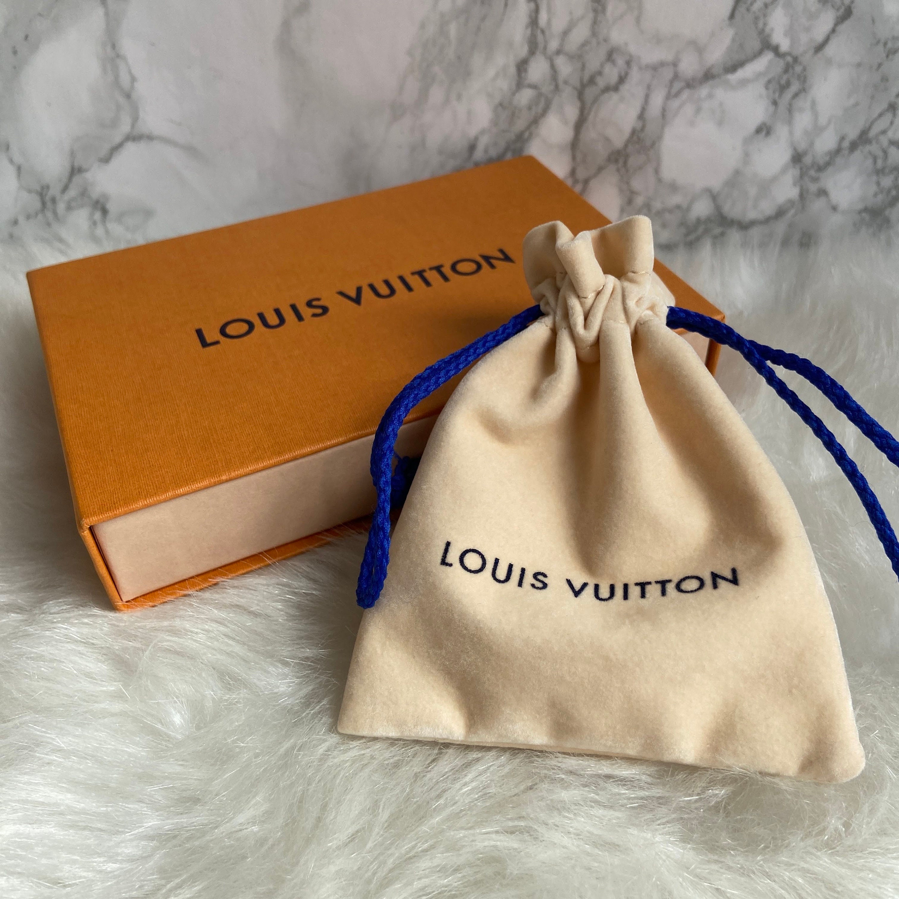 Louis Vuitton Bag Authentic 