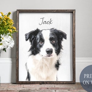 Pode incluir: Uma placa de madeira emoldurada com um retrato de um c&atilde;o Border Collie preto e branco chamado Jack. O nome "Jack" est&aacute; escrito em it&aacute;lico. O texto "PRINTED ON WOOD" est&aacute; em um c&iacute;rculo azul.