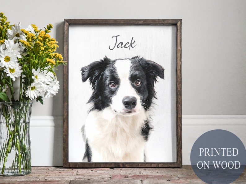 Pode incluir: Uma placa de madeira emoldurada com um retrato de um c&atilde;o Border Collie preto e branco chamado Jack. O nome "Jack" est&aacute; escrito em it&aacute;lico. O texto "PRINTED ON WOOD" est&aacute; em um c&iacute;rculo azul.