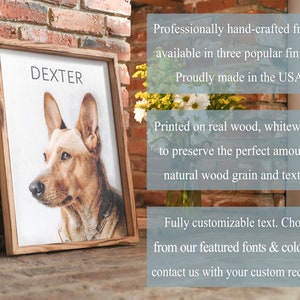 Pode incluir: Uma impress&atilde;o emoldurada de um c&atilde;o chamado Dexter em um fundo de madeira branqueada. A moldura &eacute; feita de madeira real e tem um acabamento r&uacute;stico. A impress&atilde;o &eacute; personaliz&aacute;vel com diferentes fontes e cores.