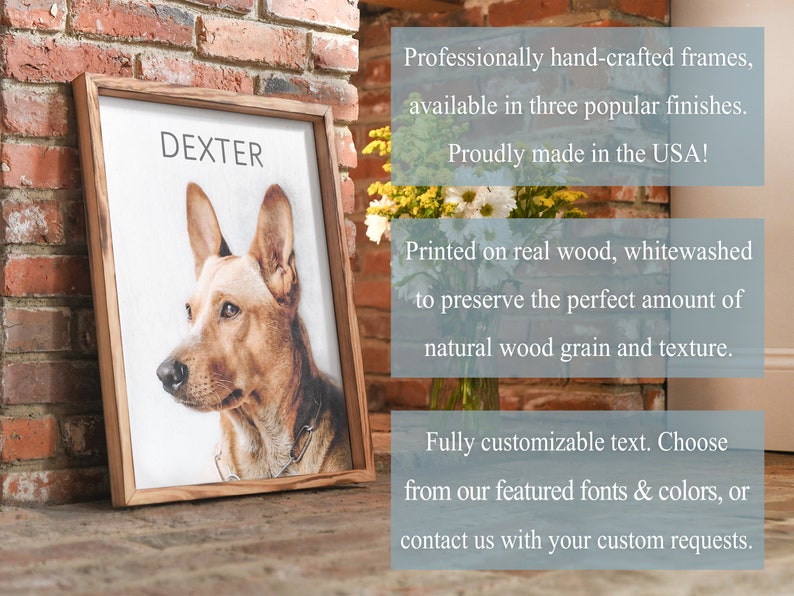 Pode incluir: Uma impress&atilde;o emoldurada de um c&atilde;o chamado Dexter em um fundo de madeira branqueada. A moldura &eacute; feita de madeira real e tem um acabamento r&uacute;stico. A impress&atilde;o &eacute; personaliz&aacute;vel com diferentes fontes e cores.