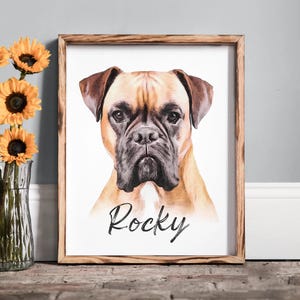 Pode incluir: Uma pintura em aquarela de um c&atilde;o Boxer marrom e bege com o nome "Rocky" escrito abaixo. A pintura &eacute; emoldurada em uma moldura de madeira marrom clara.