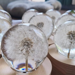 Personalized Dandelion Resin Night Lamp , Custom Flowerl Lover Resin Wood Base Night Light Table Lamp, Flowerball Birthday Gift of Nature