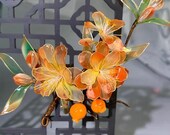 Article de cette boutique