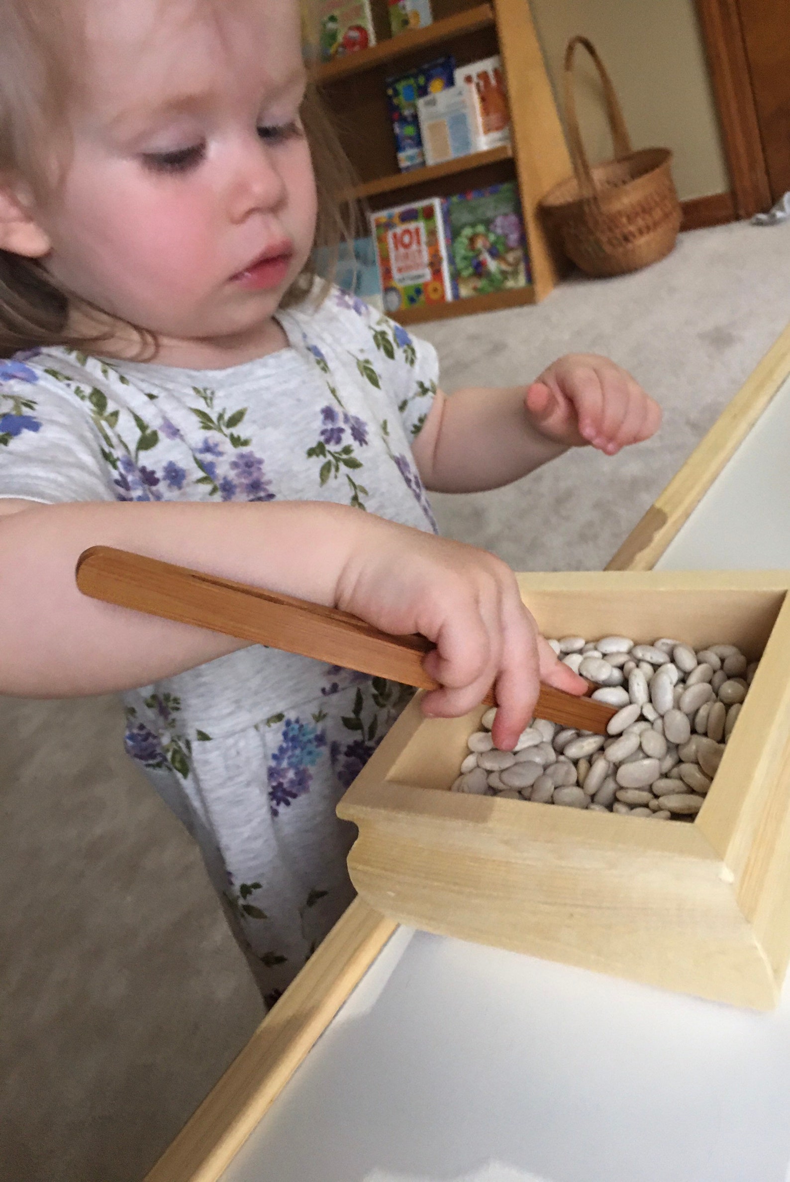 Wooden Tongs for Toddlers Etsy