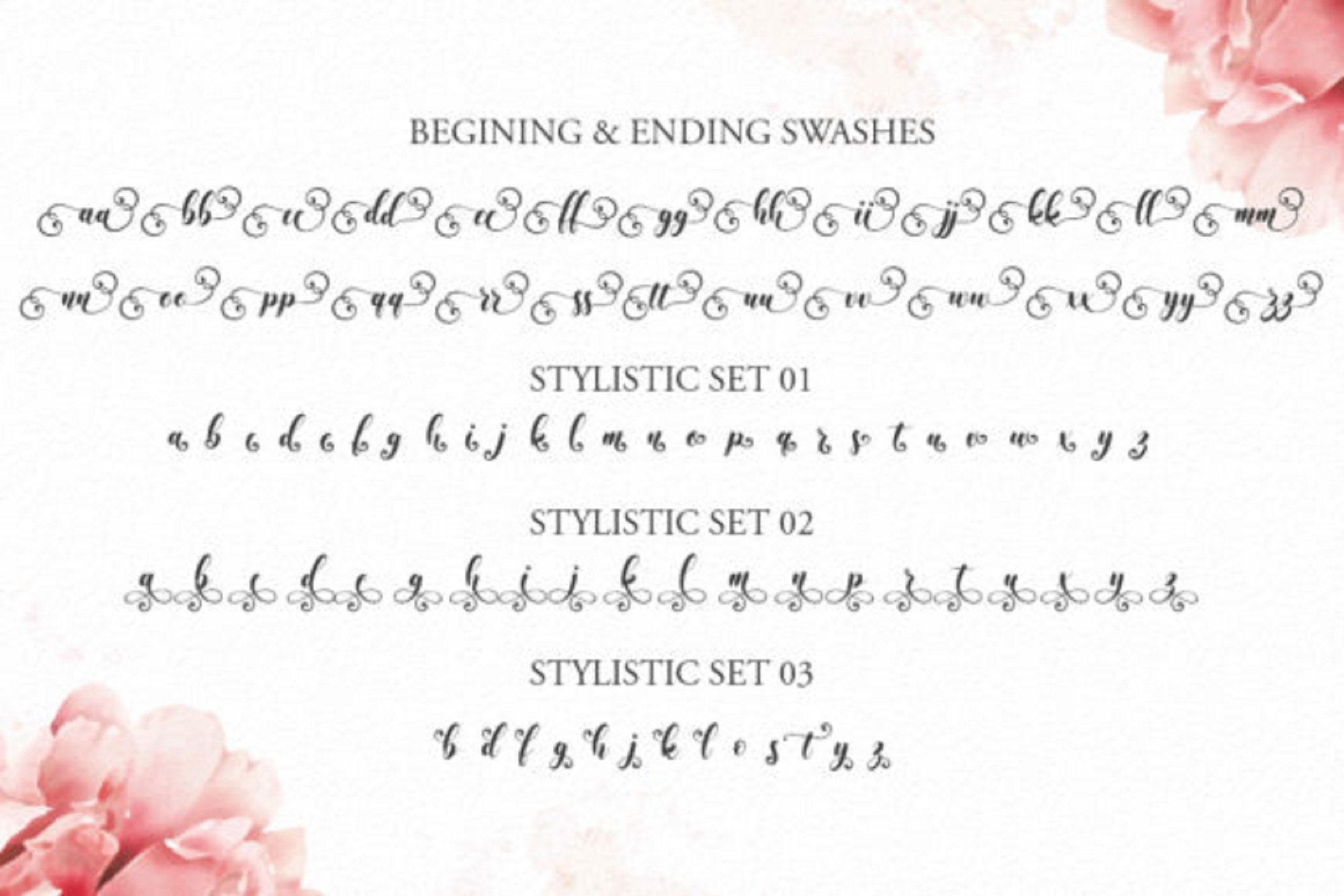 Lettertype met staart cursief lettertype handgeschreven Etsy
