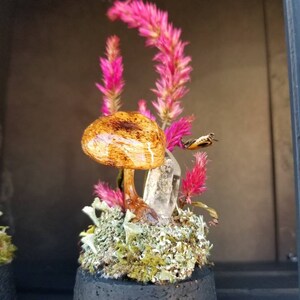 Mushroom botanical crystal Curiosity specimen vial