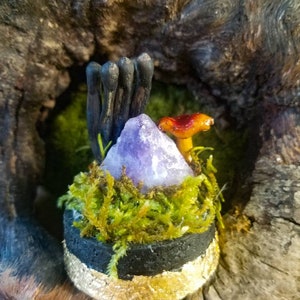 Real mushroom curio 》mushroom specimen 》Botanical Couriosities 》raw amethyst mushroom vial》fairy grunge core》dark fairy core
