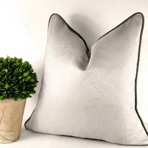Luxury Designer Ashley Wilde Blean Silver Dove Square Velvet Piped Scatter Cushion Cover