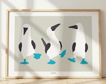 May include: A framed art print featuring three blue-footed boobies on a light gray background. Each bird has white feathers, dark wings, and bright blue webbed feet. The birds are depicted in different poses, and the text "oceanlands" is printed at the bottom.