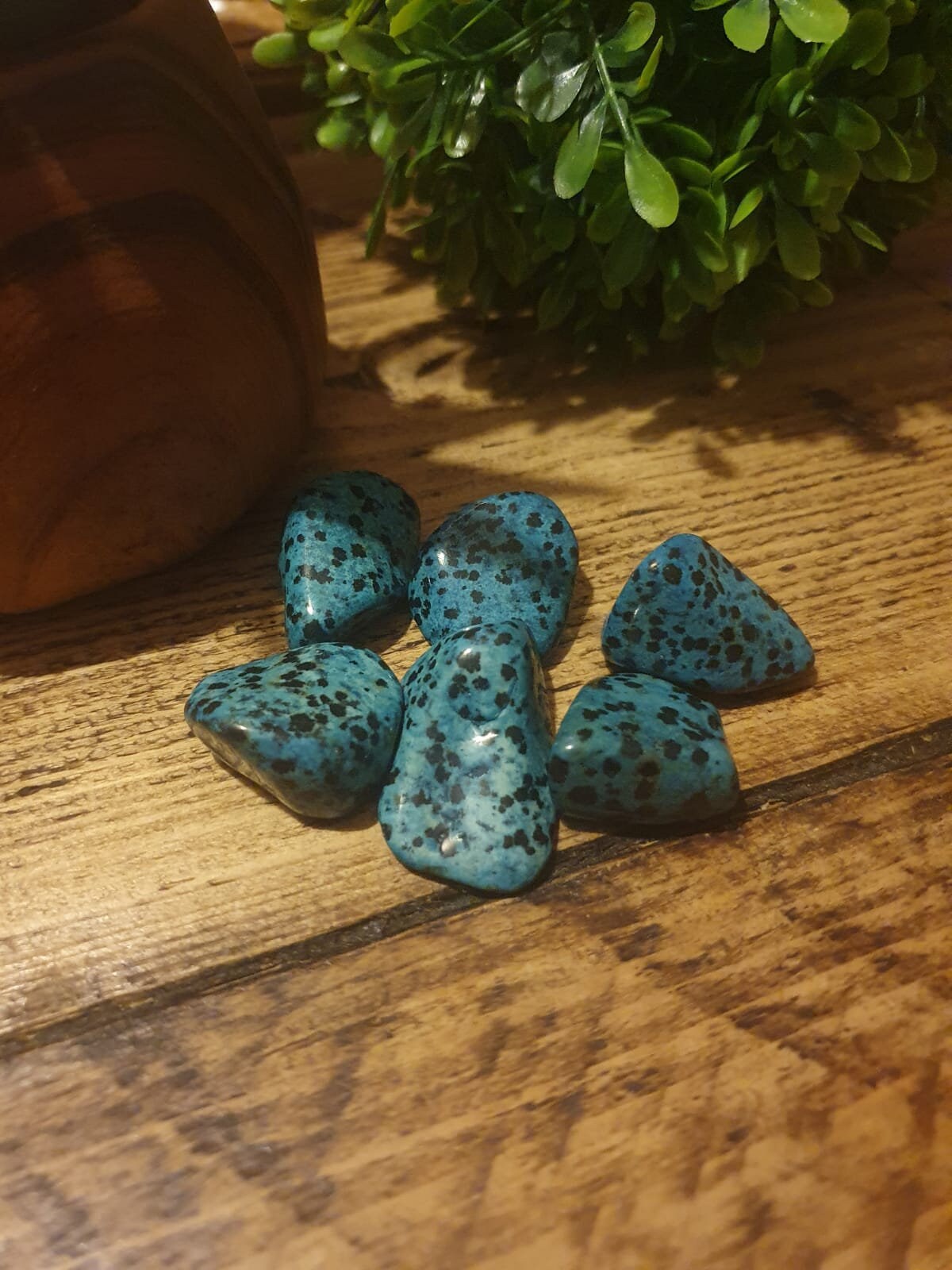 Dalmatian Jasper Blue Healing crystal Tumblestone Etsy