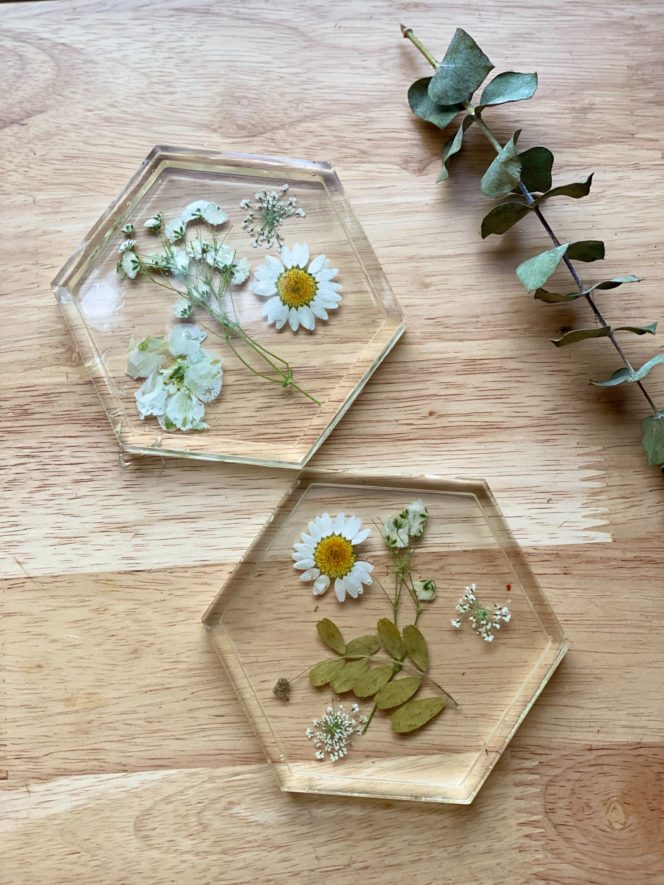 Clear floral coasters pressed flower coasters coasters Etsy