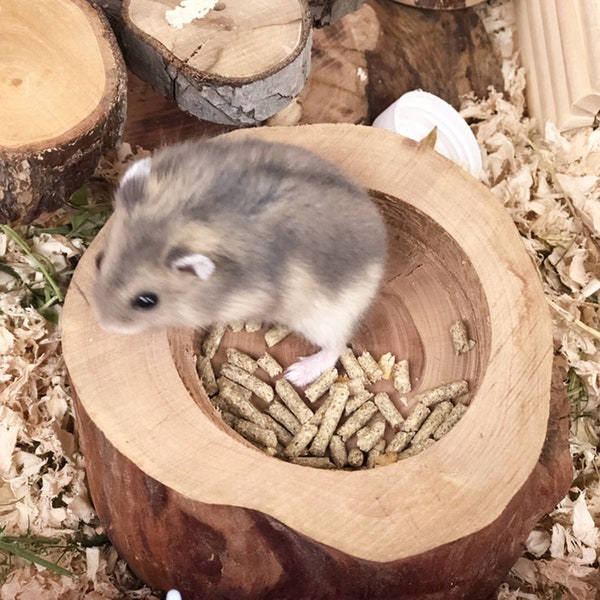 gifts for hamster,hamster accessories,Hamster wooden bowl,Wooden Hamster Feeding Bowl,Small Pets,hamster cage accessories