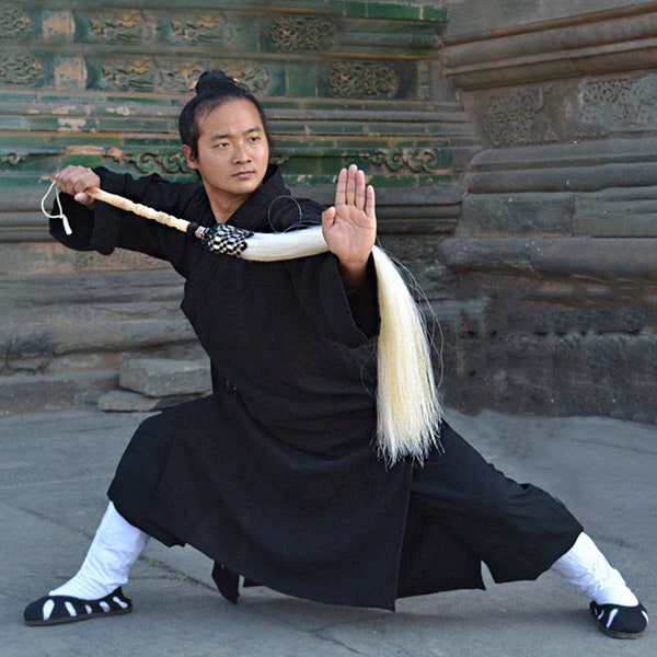 souvenir de crin de cheval, flagellations et fouets, queue de cheval, cadeaux d’arts martiaux de Tai Chi, Kung Fu, poil de prêle vrai étalon de crin de cheval cadeau de queue de cheval