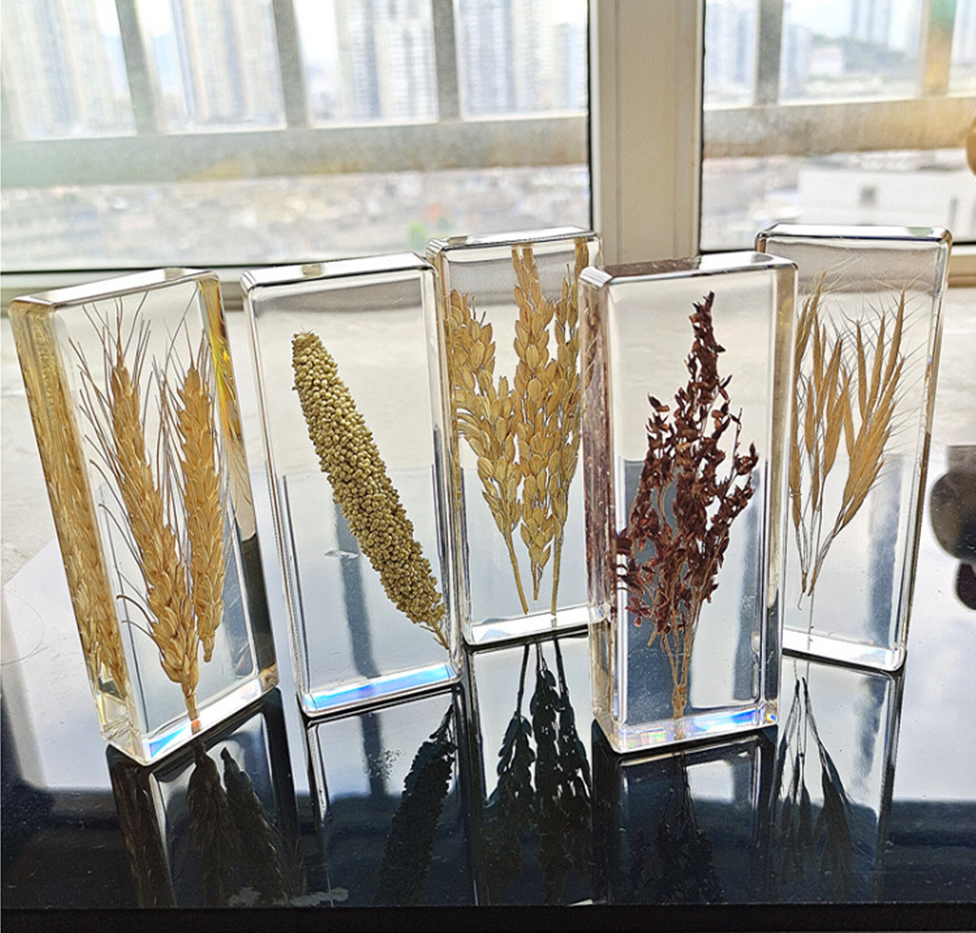 Resin specimens plant specimens plants in resin resin Etsy