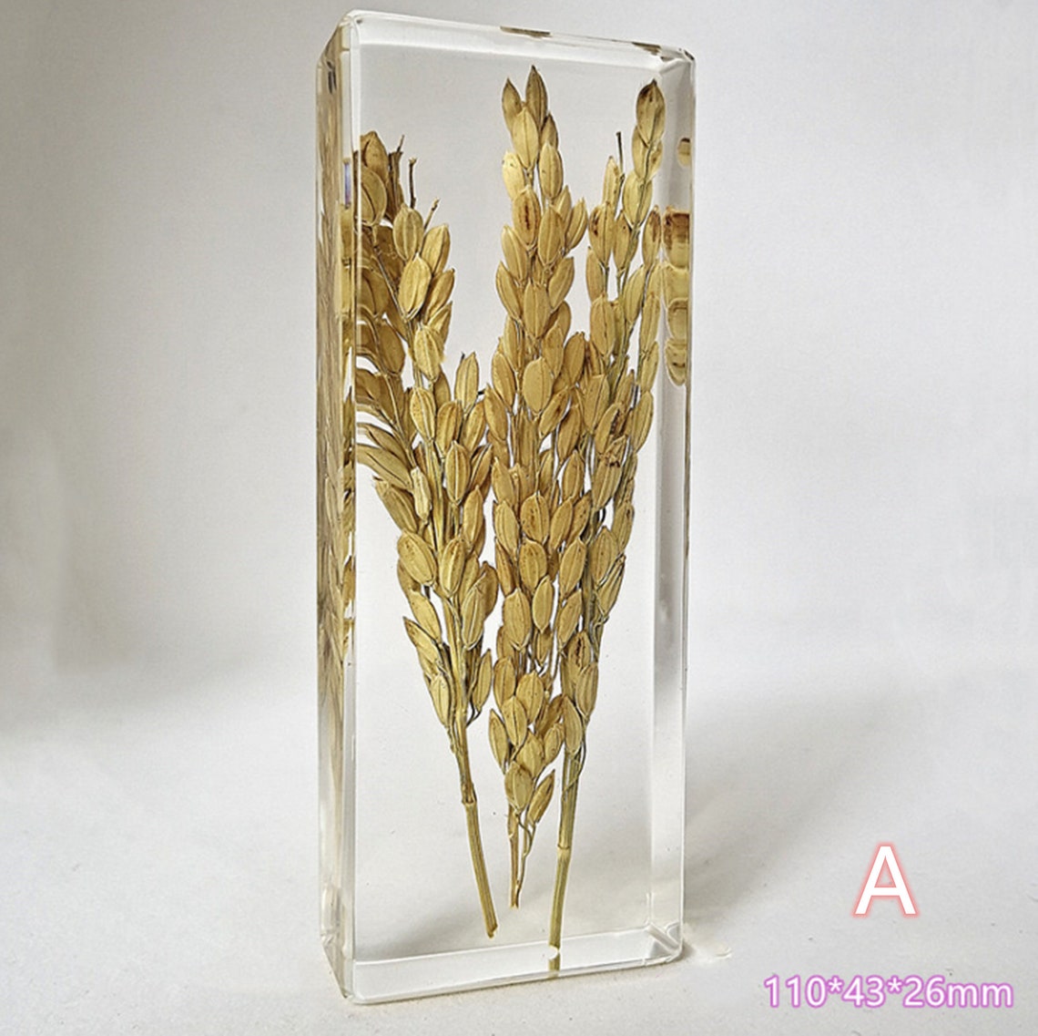 Resin Specimens Plant Specimens Plants in Resin Resin Etsy
