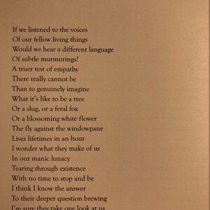 Songs of Love in Lockdown image 4