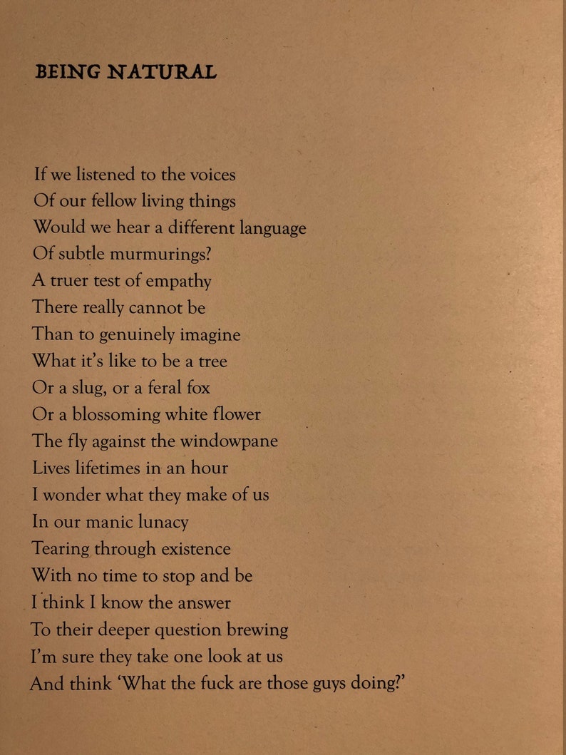 Songs of Love in Lockdown image 4