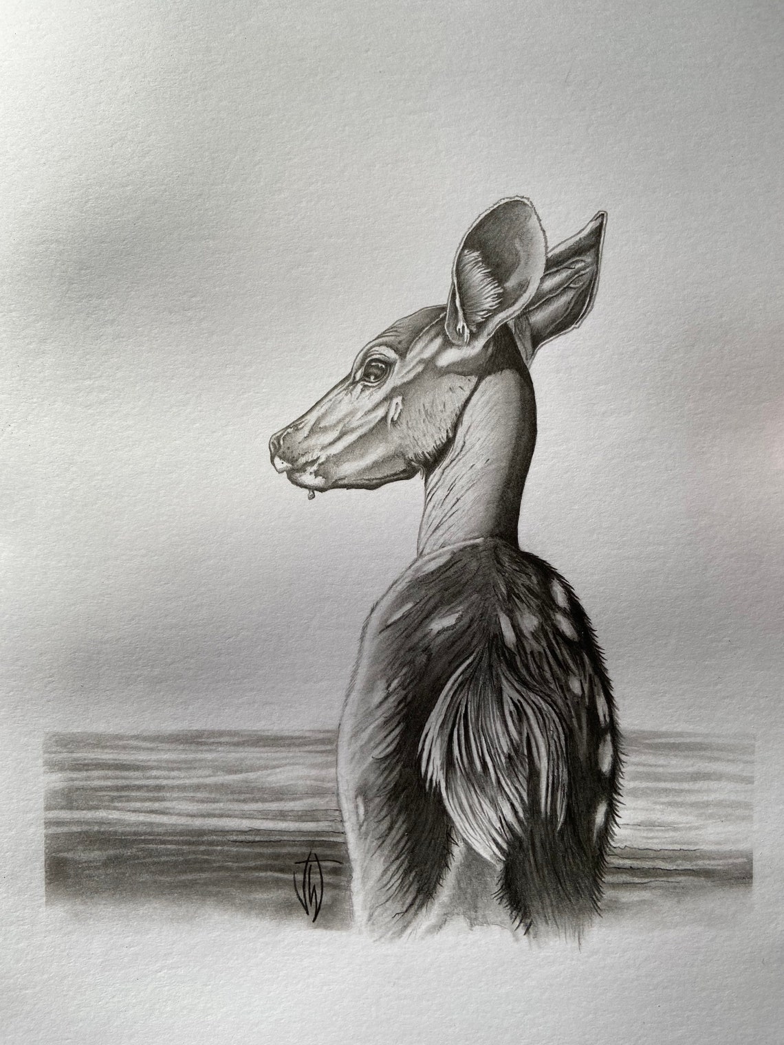 Graphite pencil Original drawing on A4 art paper of female Etsy