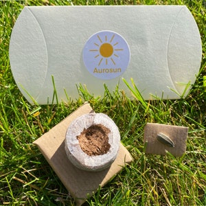 May include: A brown paper envelope with a white sticker that says "Aurosun" and a yellow sun graphic. The envelope is on a bed of green grass. There is a small brown paper envelope with a sunflower seed inside and a peat moss seed starting pellet.