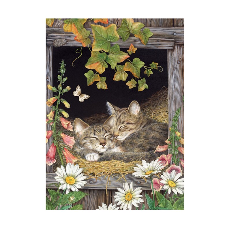 5D DIY Cat Hug Diamond Limited time for free shipping Complete Set Painting Embroi Our shop most popular kit