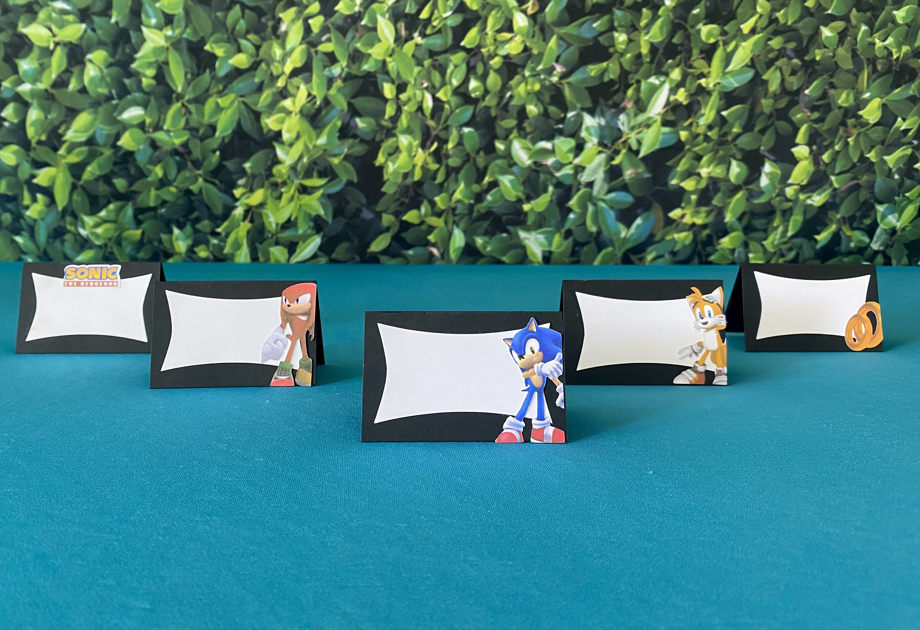 Sonic Centerpieces, Sonic Party Supplies, Sonic Party Favors
