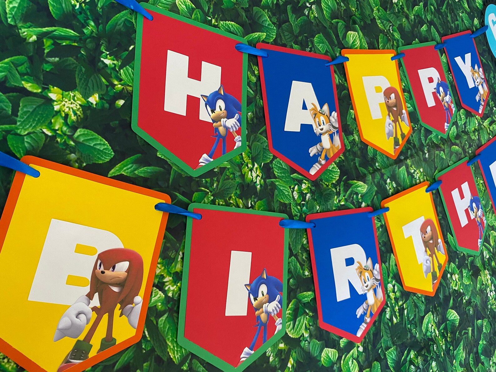 Sonic the Hedgehog Birthday Party Banner Sonic Birthday Etsy