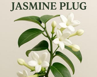 Jazmín de Madagascar (Stephanotis floribunda)