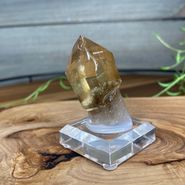 Citrine Scepter | Crystal | Citrine