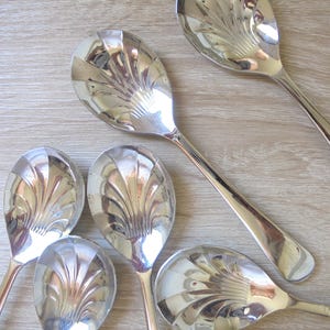 Può includere: Una collezione di cucchiai da portata argentati con un motivo decorativo a ventaglio sui cucchiai. I cucchiai sono disposti su una superficie di legno chiaro, che riflette la luce. I cucchiai sono probabilmente per servire il cibo.