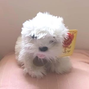 Keel Toys |Simply Soft Retired Fluffy Puppy Dog White | Named HEATHER 20x16 cms