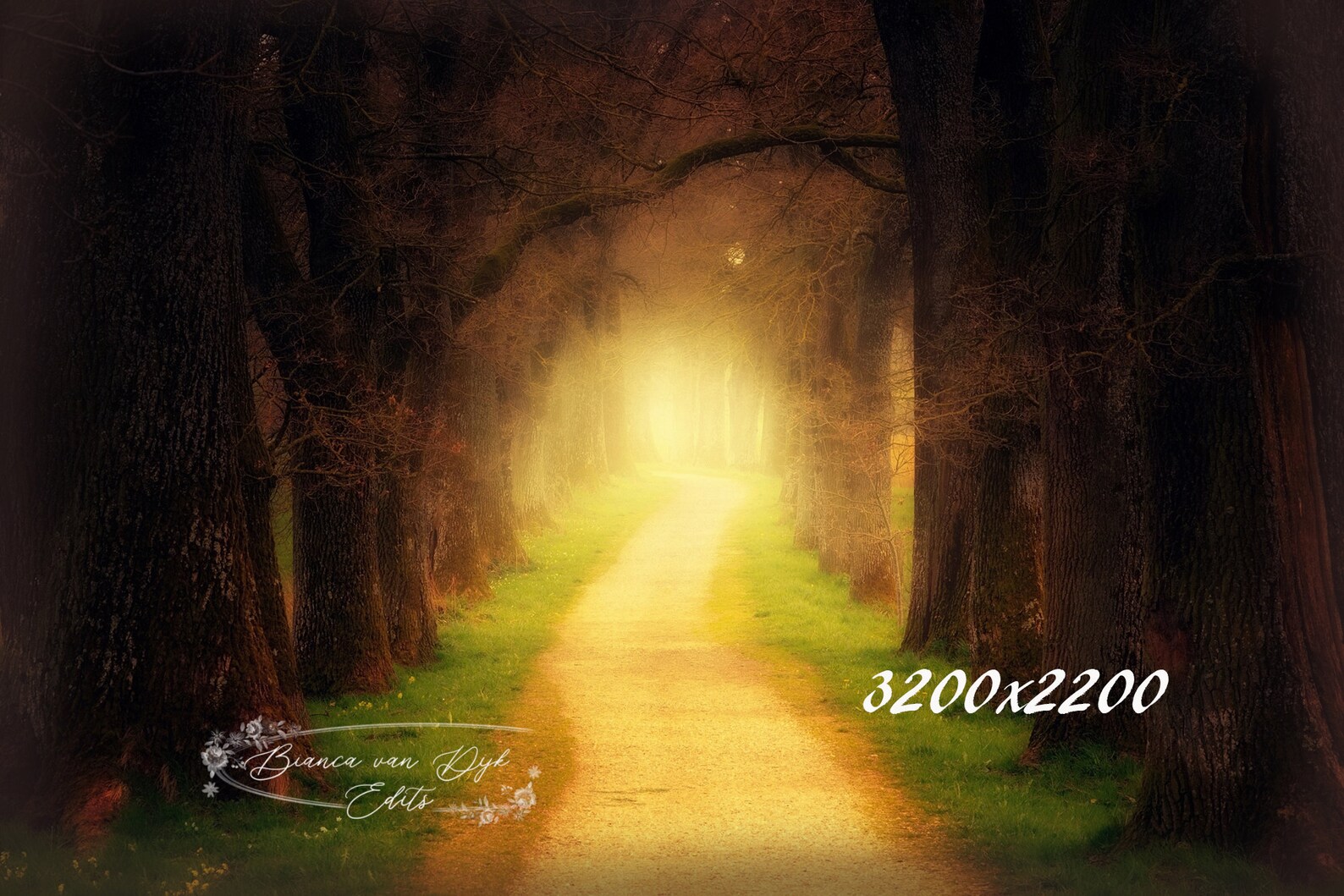 A set of 4 digital beautiful nature backdrops for your model. Etsy