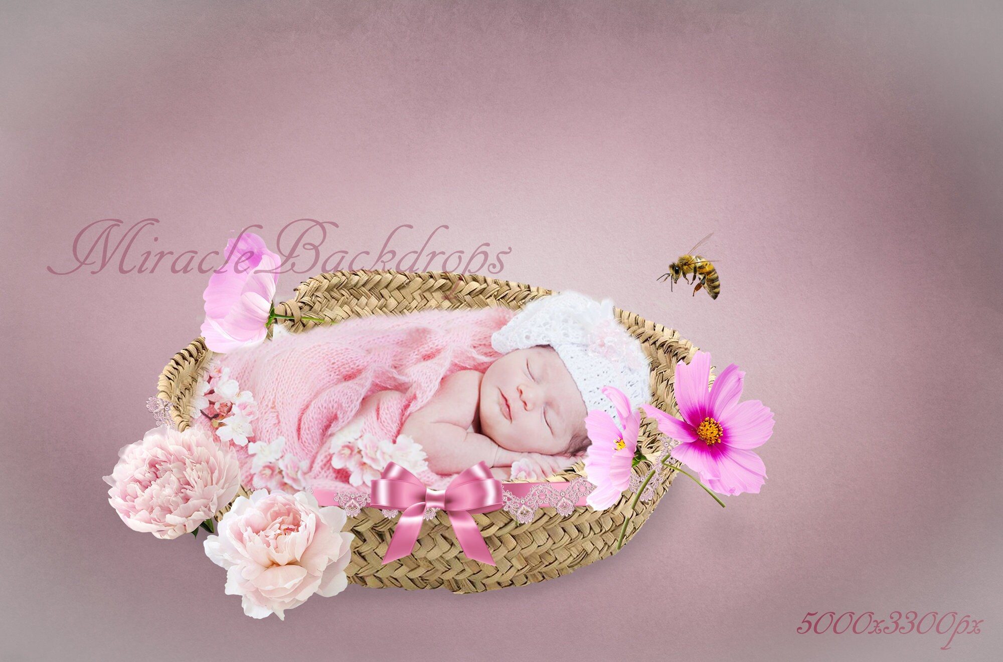 Digital background newborn. Background for newborn baby pink Etsy