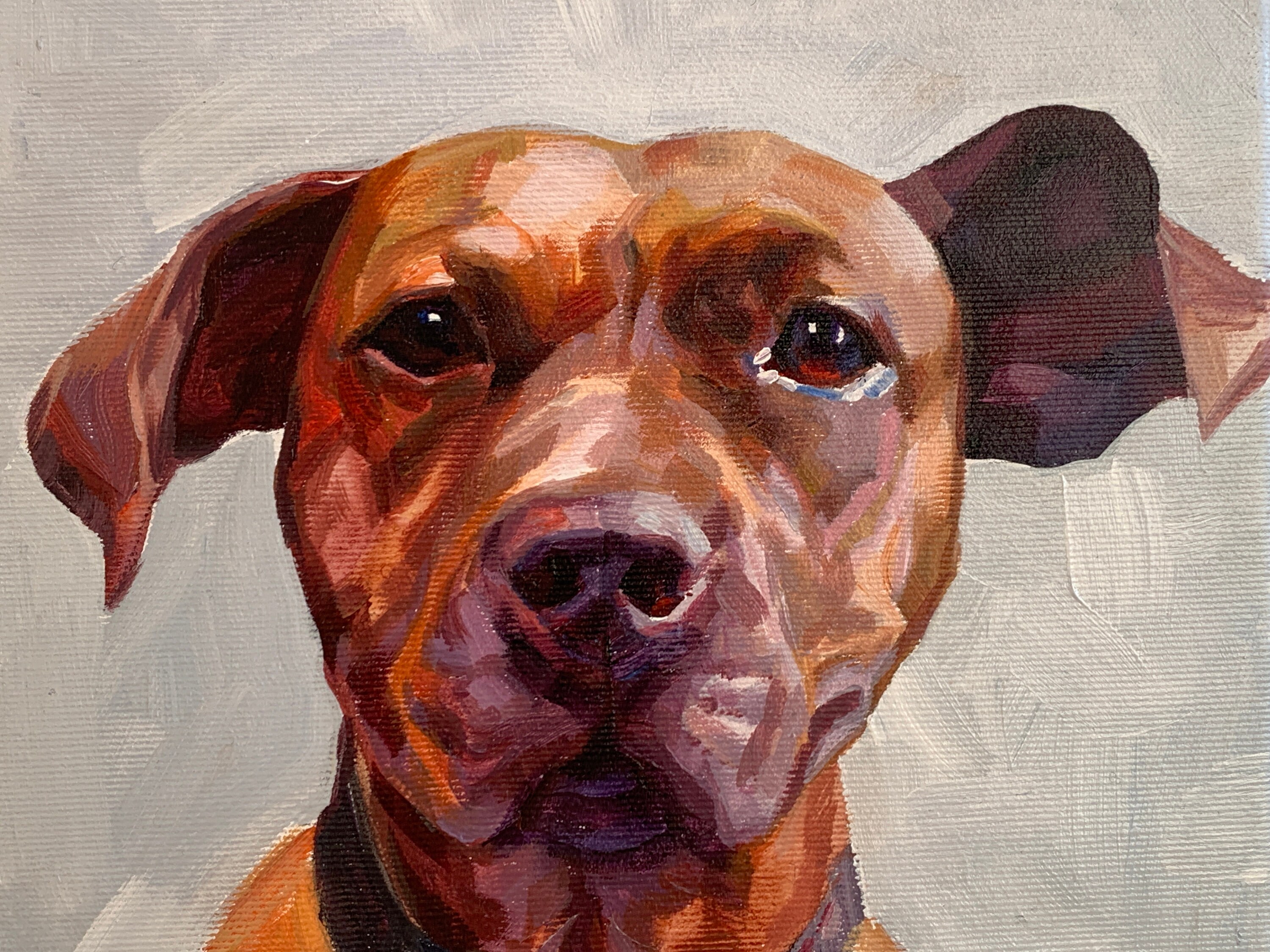 Buy Custom Dog Oil Painting Portrait, Pet Portrait Commission