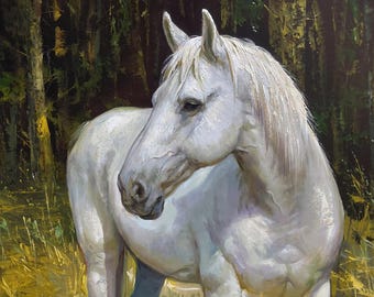 Custom White Horse Artwork, Commission Oil Painting on Canvas from Photo, Equestrian Fine Art, Personalized Rider Gift, Decor Keepsake