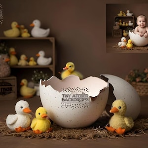 May include: A white cracked egg shell with a white speckled egg inside. There are four yellow ducklings and one white duckling near the egg. The background is brown with a wooden shelf with yellow ducklings on it.