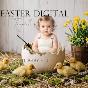 May include: An Easter digital template showing a baby in a cream outfit inside a cracked eggshell with hay. Yellow ducklings and daffodils in wooden pots are around the baby. The text "EASTER DIGITAL Template" is at the top of the image.