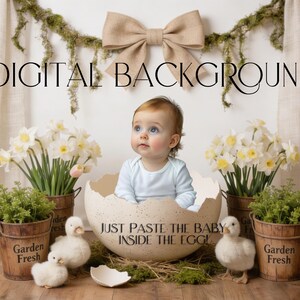 May include: A baby is nestled inside a large eggshell, with spring decorations. The scene features white daffodils, small ducklings, and wooden buckets with the text "Garden Fresh." The image has the text "DIGITAL BACKGROUND" and "JUST PASTE THE BABY INSIDE THE EGG!"
