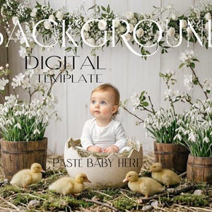 May include: A digital template with a baby in an eggshell, surrounded by ducklings and floral displays. The image includes the text "BACKGROUND DIGITAL TEMPLATE" and "PASTE BABY HERE".