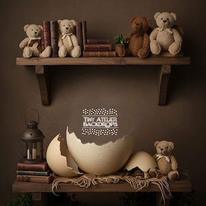 May include: A brown wooden shelf with three teddy bears and a stack of books. Below the shelf is a brown wooden bench with a large cracked egg, a smaller cracked egg, and a teddy bear. The background is a brown wall with the text "Tiny Atelier Backdrops" in white.