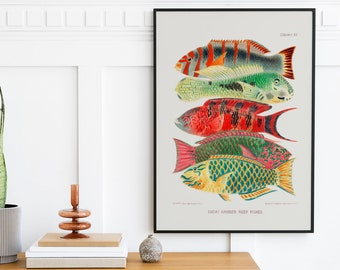 Vintage Fish Art Poster - Tropical Wall Art - Beach Wall Decor - Colorful Print - Ocean Animal Print - Sea Life Poster - Coastal Wall Art