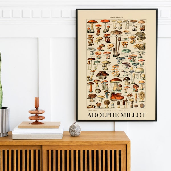 Vintage Botanical Poster - Mushrooms Print - Mushroom Chart - Kitchen Decor - Larousse Prints - Adolphe Millot Poster - Food Wall Art